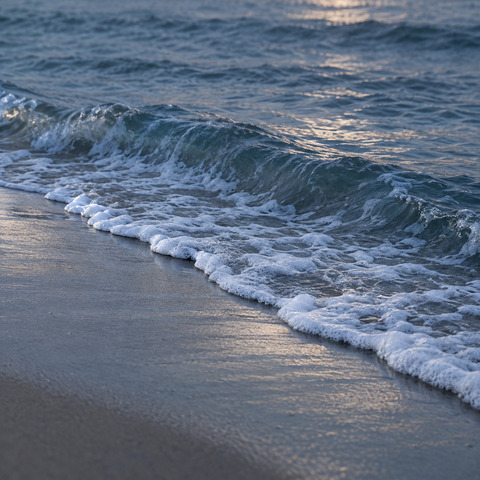 Foam from a breaking wave running up wet sand at dusk